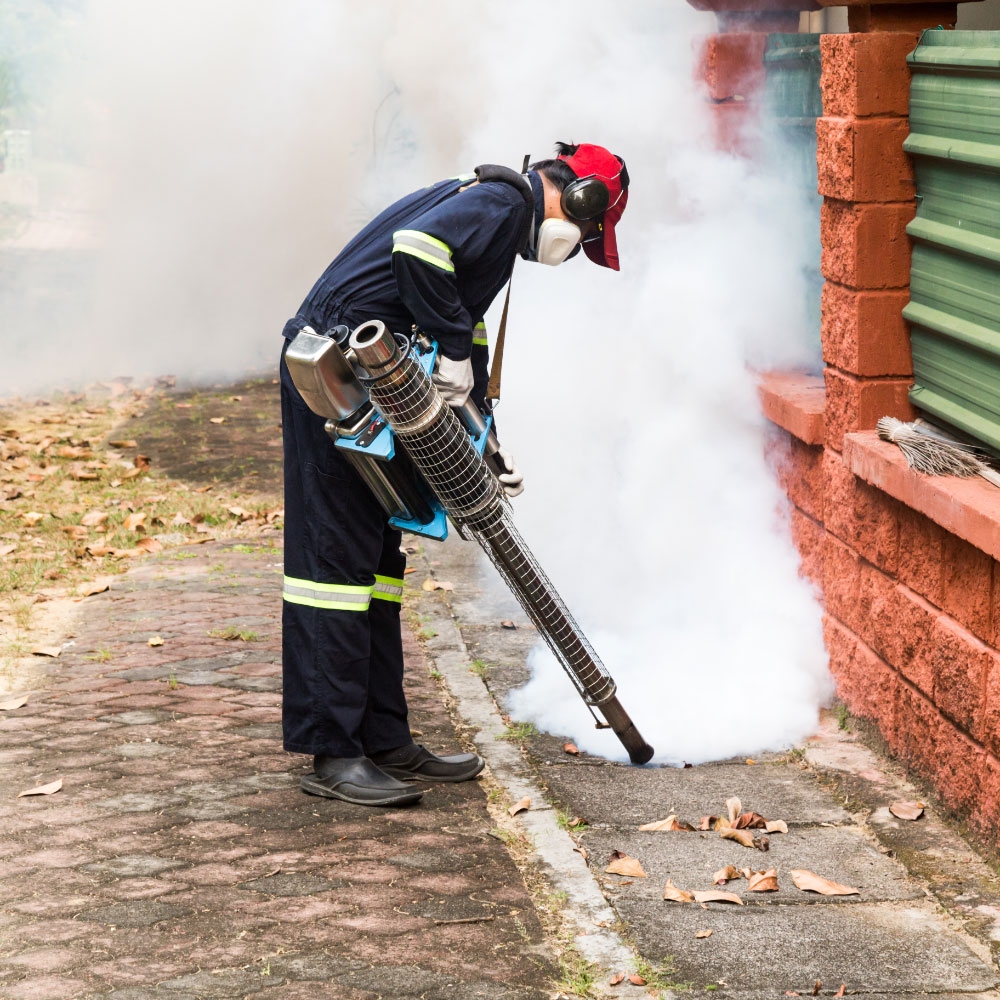Targeted Pest Control Treatments in Castle Hill